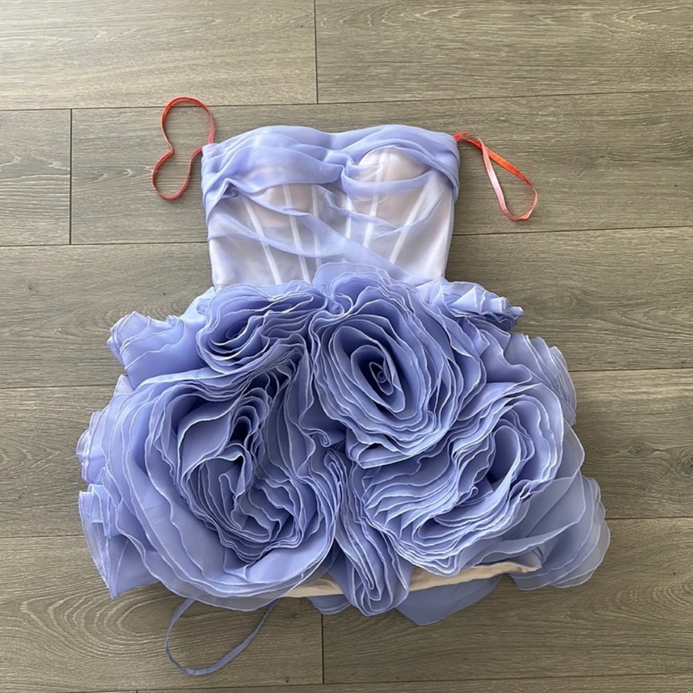 Brand New MILLA
Appliquéd Organza Lavender Mini Dress